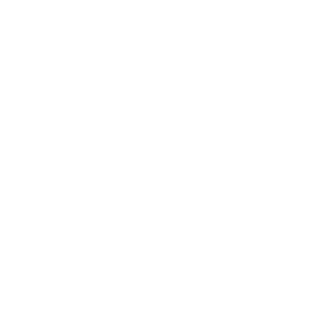 Multimodal & Door-to-Door Logistics